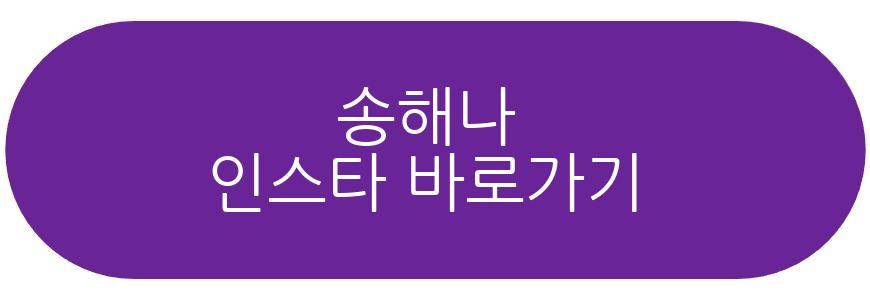 송해나