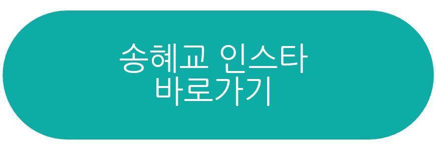 송혜교 수영복 일상