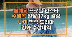 송혜교 프로필 인스타 수영복 일상 17kg 감량 나이 학력 드라마 영화 수상내역
