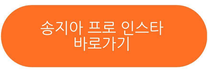 송지아 프로