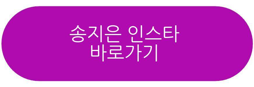 송지은