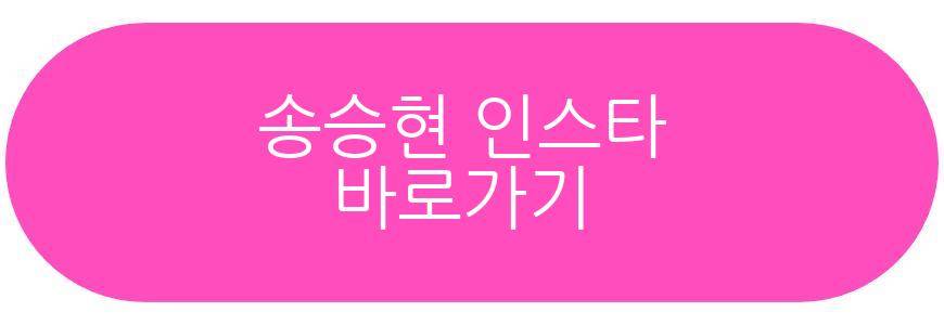 송승현