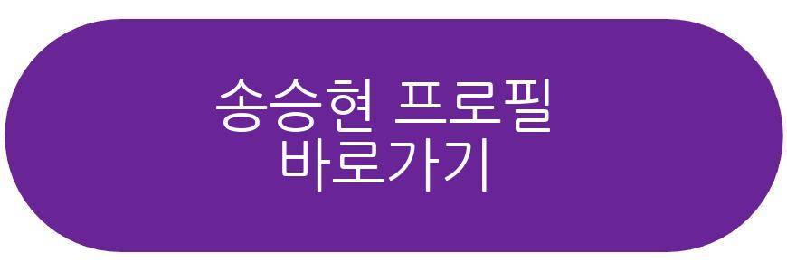 송승현