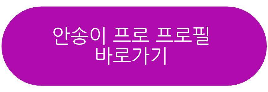 안송이 프로
