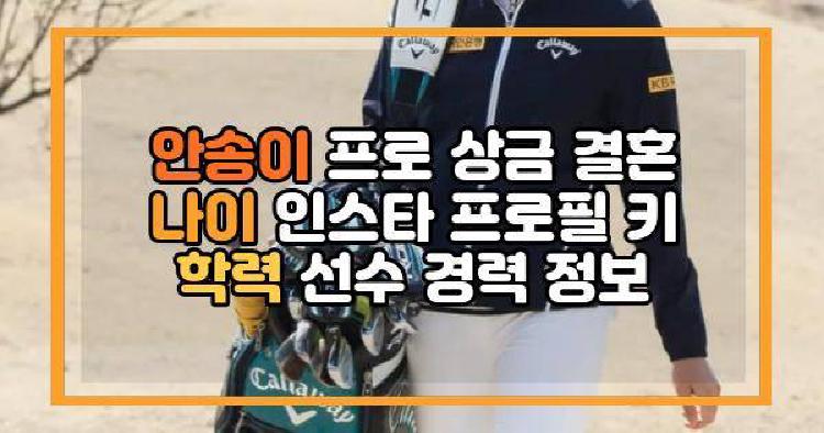 안송이 프로 상금 결혼 나이 인스타 프로필 키 학력 선수 경력 정보