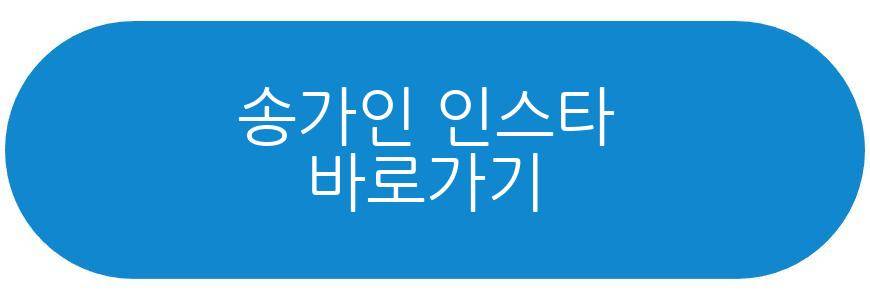 송가인 이사 근황