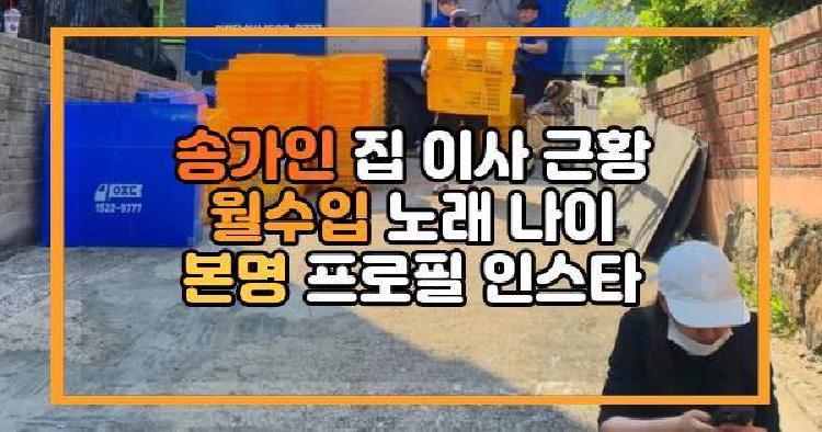 송가인 이사 근황