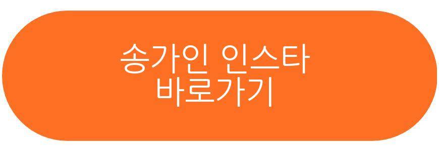 송가인
