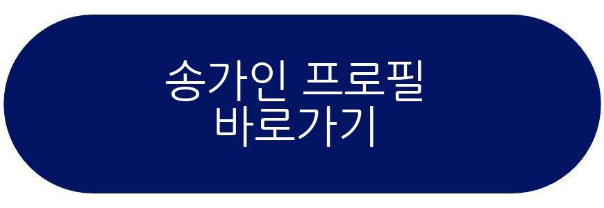 송가인