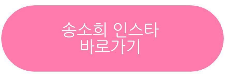 송소희 근황