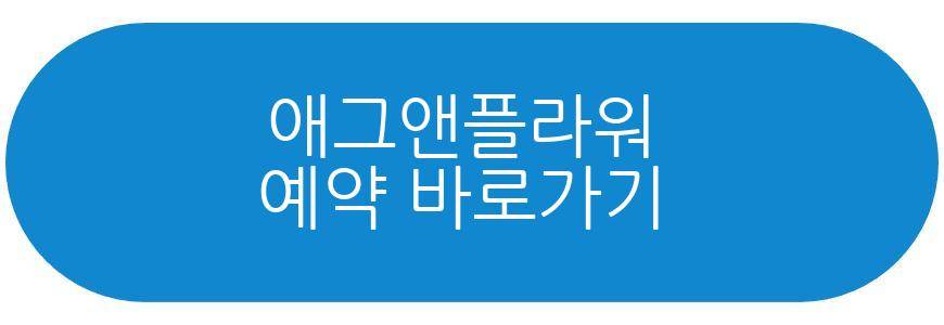 김희은