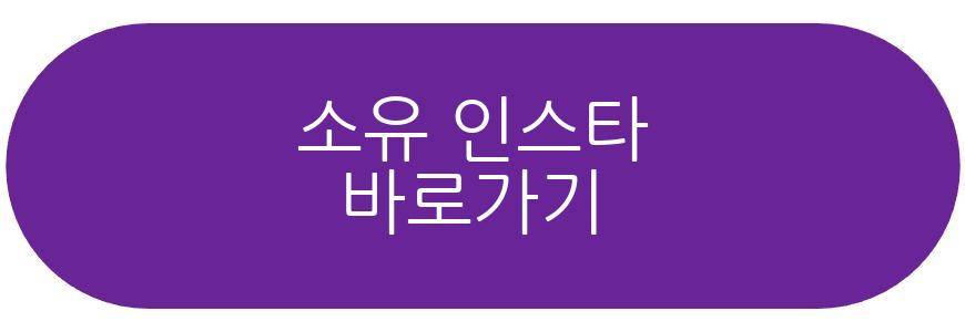 소유