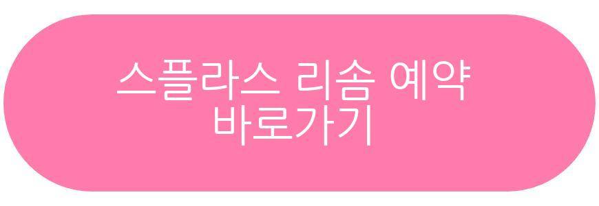 스플라스 리솜