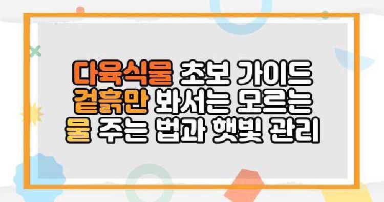 다육식물 초보 가이드 겉흙만 봐서는 모르는 물 주는 법과 햇빛 관리