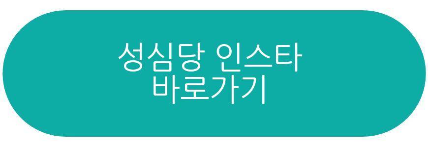 성심당 블루베리 시루