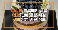 성심당 블루베리 시루 가격 판매 수량 지점 구매 방법 기본 정보