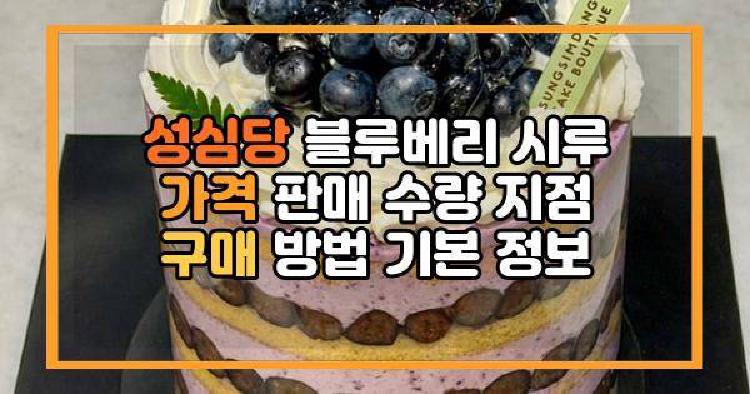성심당 블루베리 시루