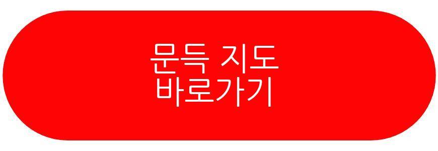 허안나 오경주