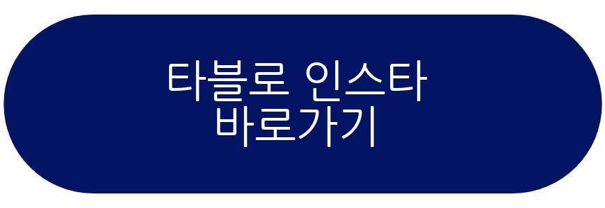 타블로 딸 하루