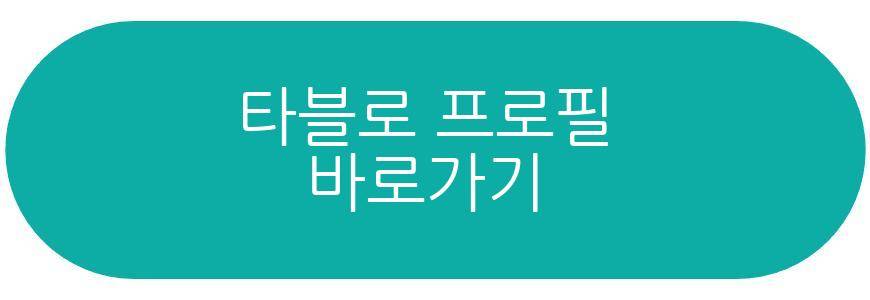 타블로 딸 하루