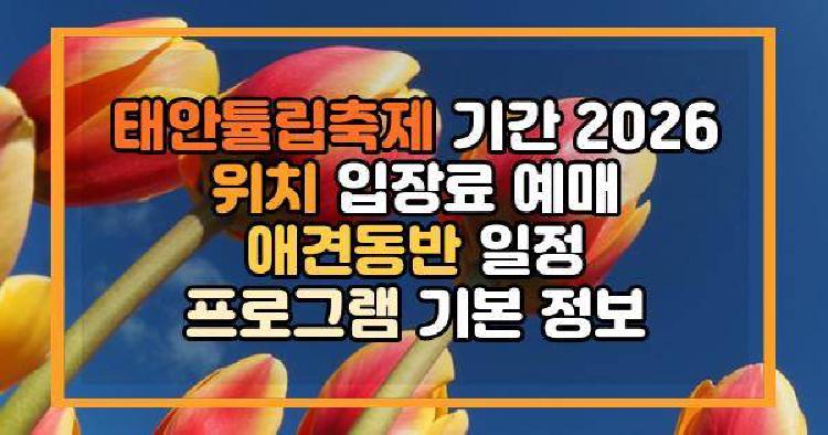 태안튤립축제