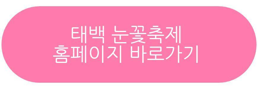 태백 눈꽃축제