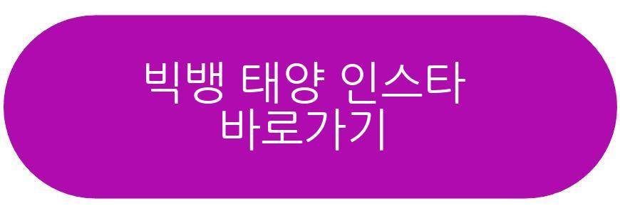 빅뱅 태양 아들 유치원