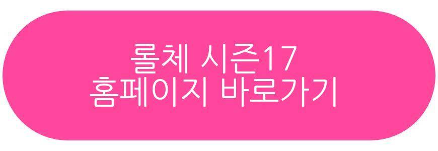 롤체 시즌17
