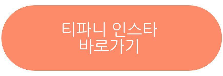 티파니 전참시