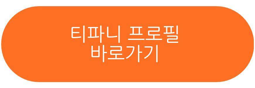 티파니 전참시