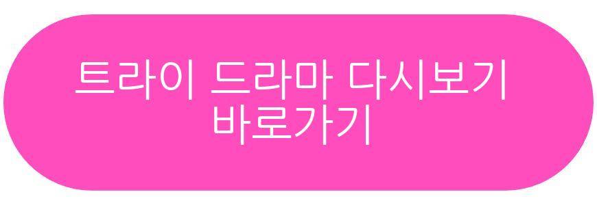 트라이 드라마 미국 휴스턴 국제영화제