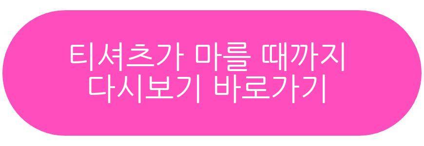 티셔츠가 마를 때까지