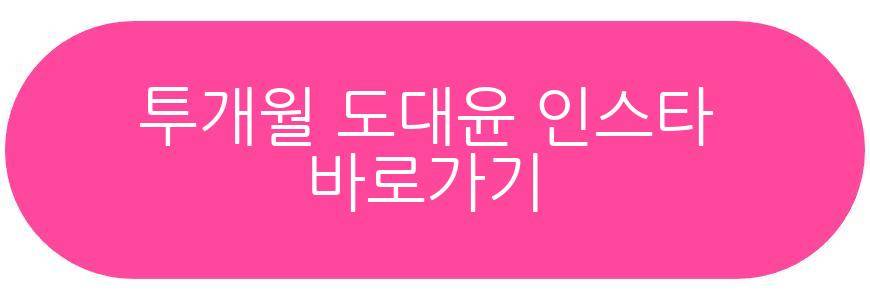 투개월 도대윤 근황