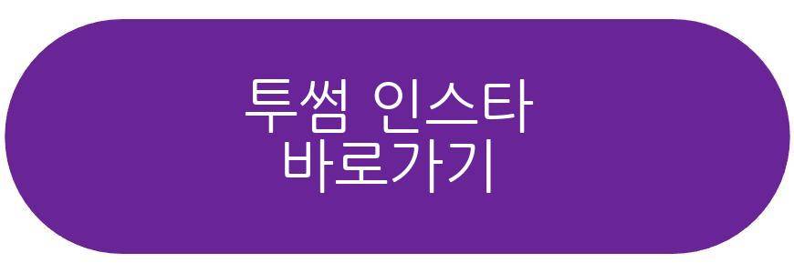 투썸 키티버니포니