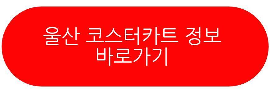 울산 코스터카트