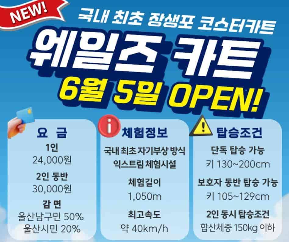 울산 코스터카트