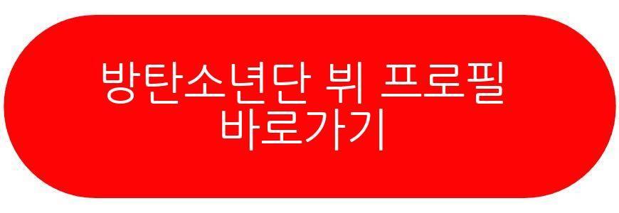 방탄소년단 뷔