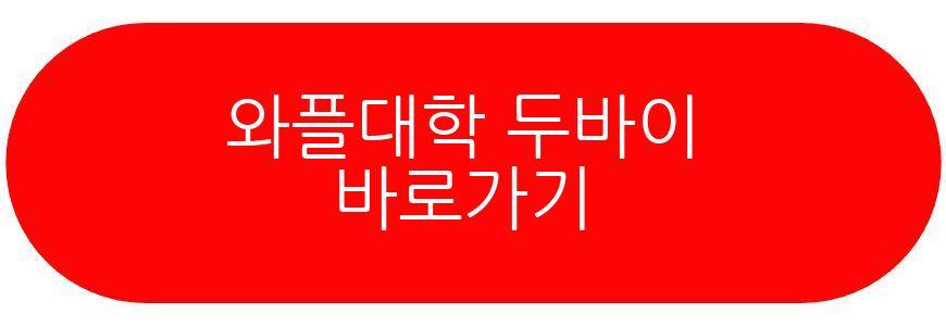와플대학 두바이
