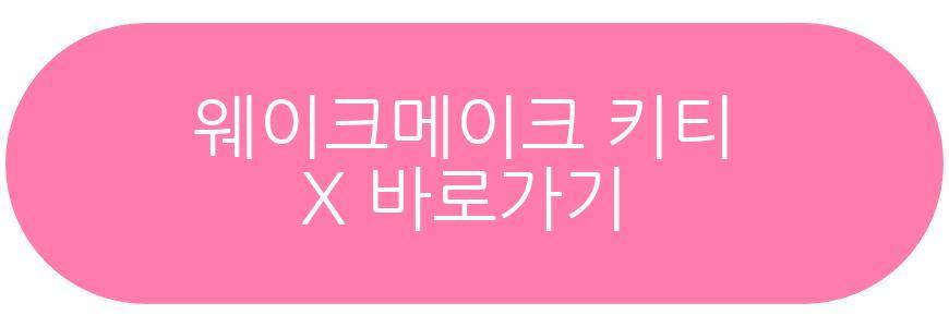 웨이크메이크 키티