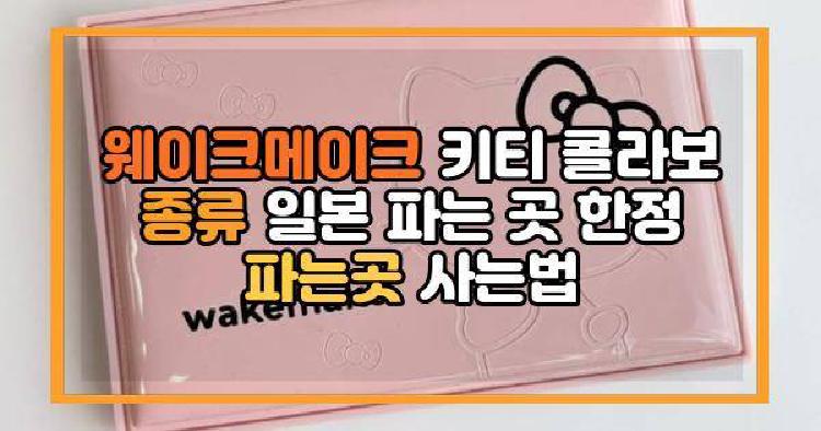 웨이크메이크 키티