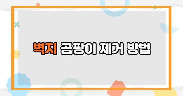 벽지 곰팡이 제거