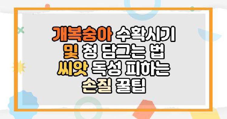 개복숭아 수확시기 및 청 담그는 법