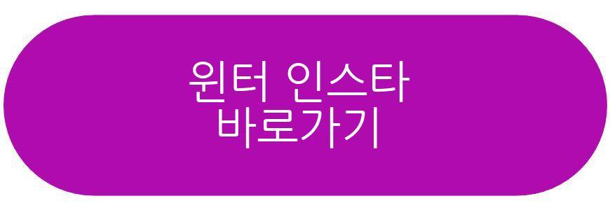 윈터 카리나