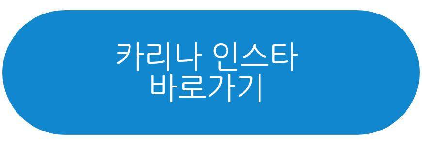 윈터 카리나