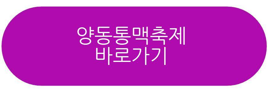양동통맥축제