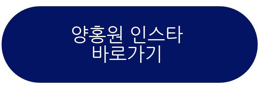 양홍원 원현주