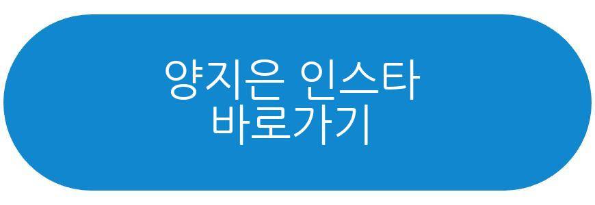 양지은 신곡