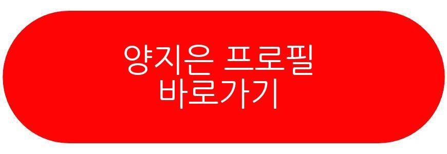 양지은 신곡