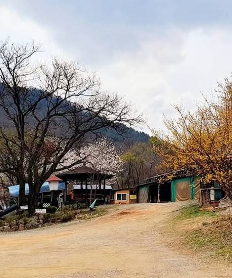 혼자는 못해 찜질방 소리산참숯굽는마을