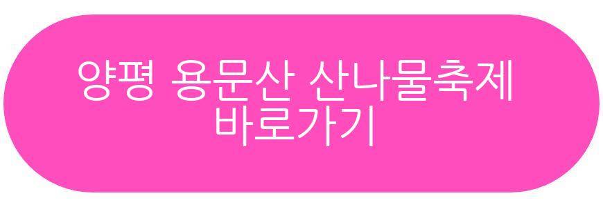 양평 용문산 산나물축제